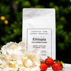 Ethiopia Guji Gerba Dogo