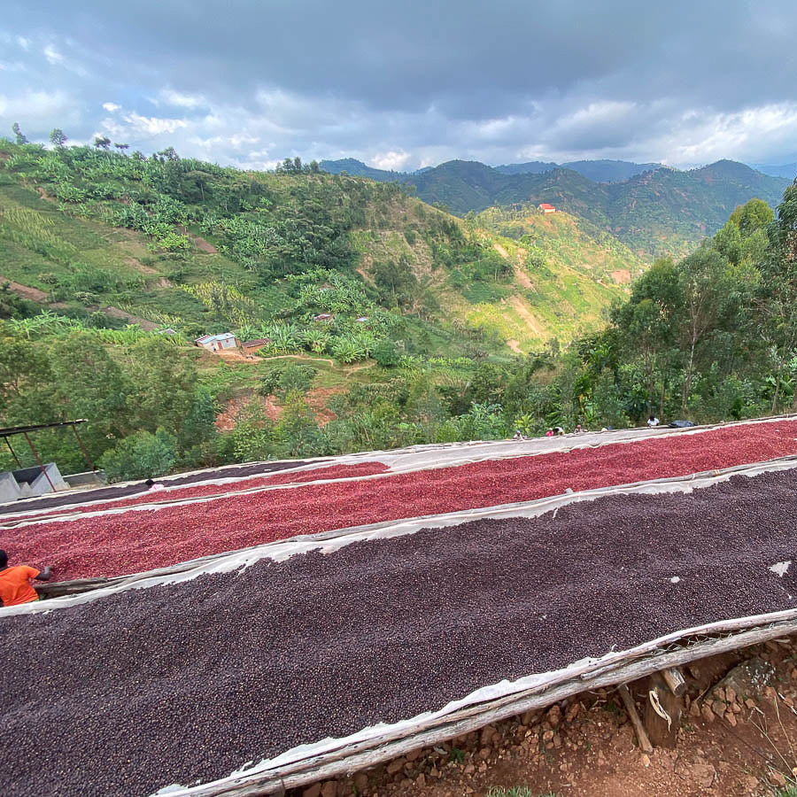 Burundi Dry Process Nyabiraba Kinama