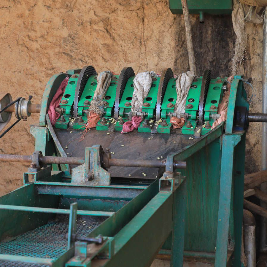 Ethiopia Guji Gerba Dogo