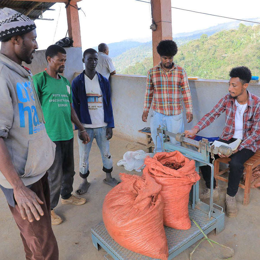 Ethiopia Dry Process Guji Goro