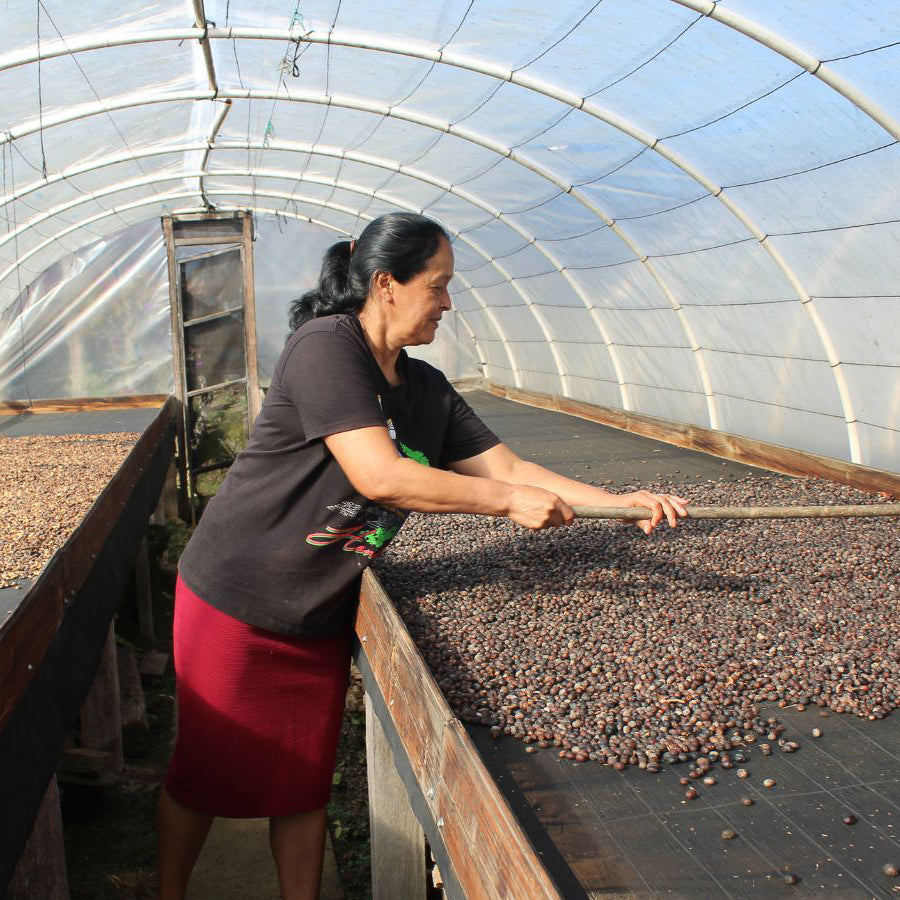 Honduras El Cedral Lourdes Figueroa