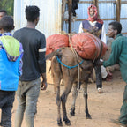 Ethiopia Natural Process Buno Dambi Uddo